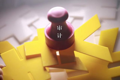 挑選審計(jì)報(bào)告翻譯服務(wù)的關(guān)鍵要點(diǎn)